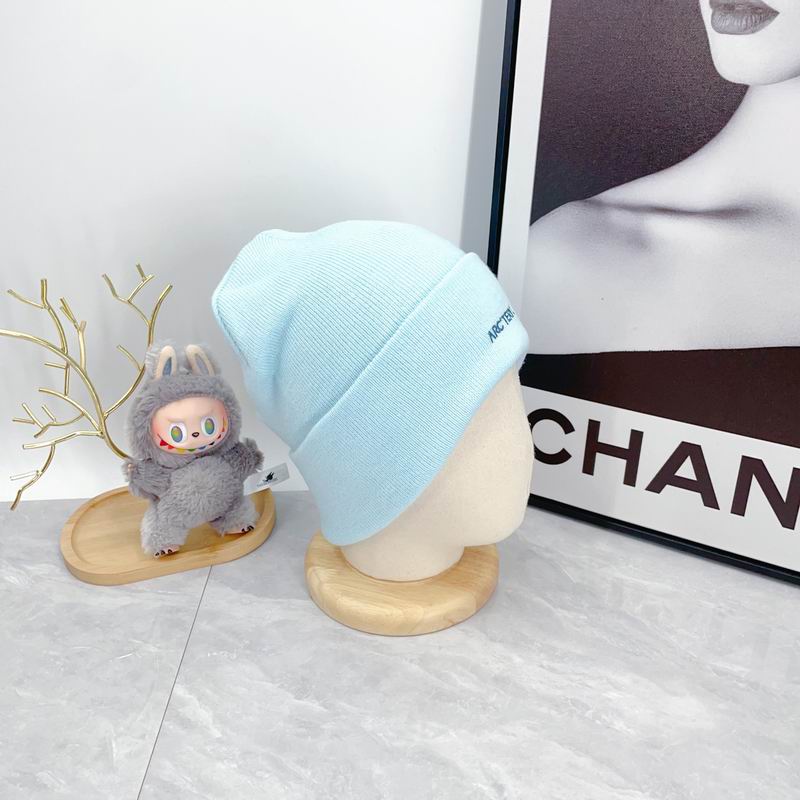 Arcteryx hat dx (2931)