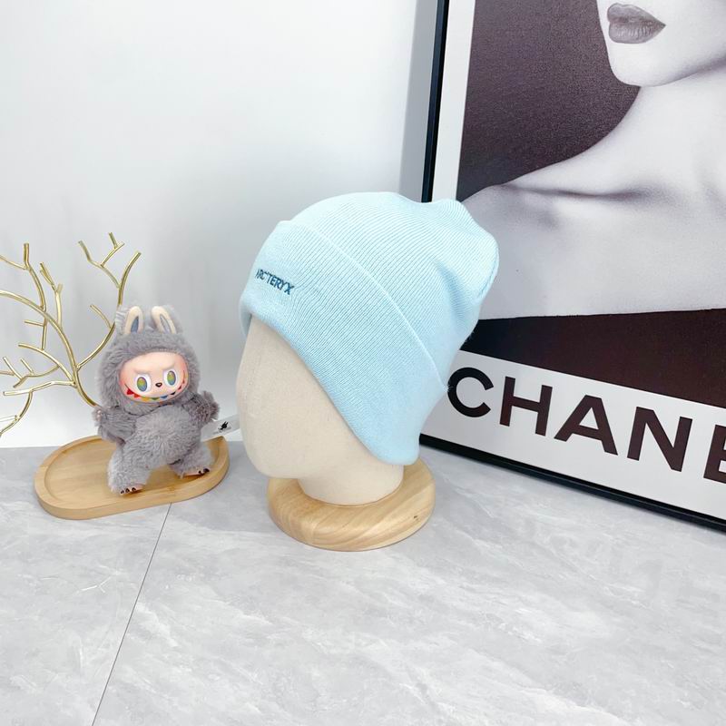 Arcteryx hat dx (2932)