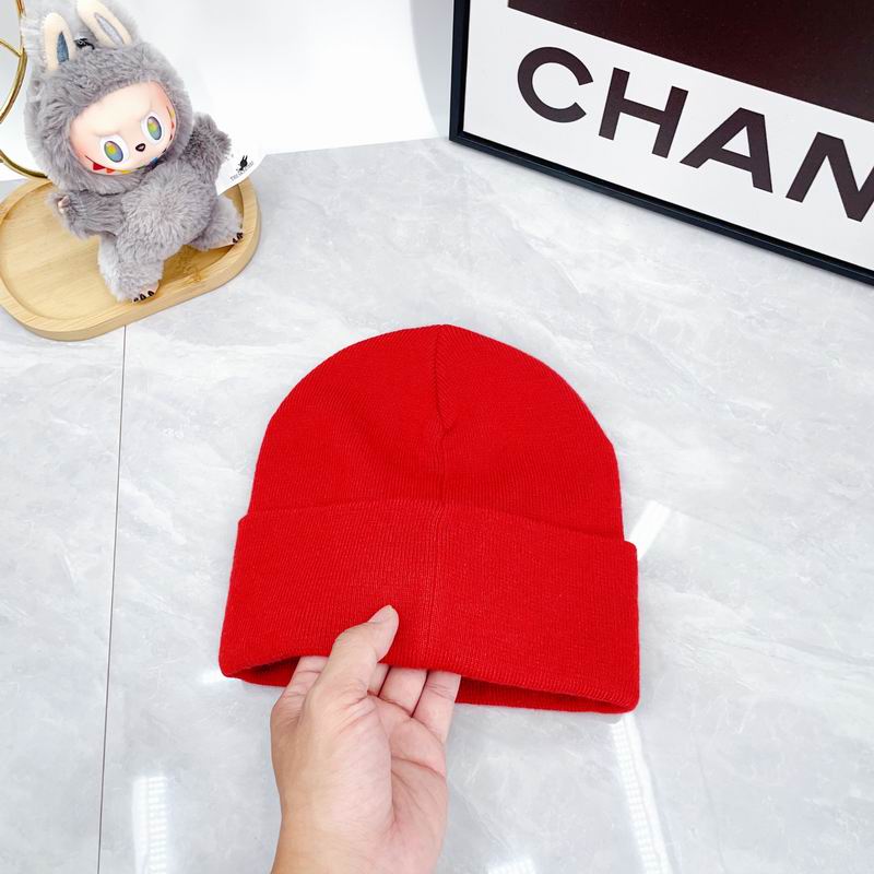 Arcteryx hat dx (2936)