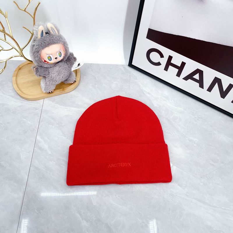 Arcteryx hat dx (2939)