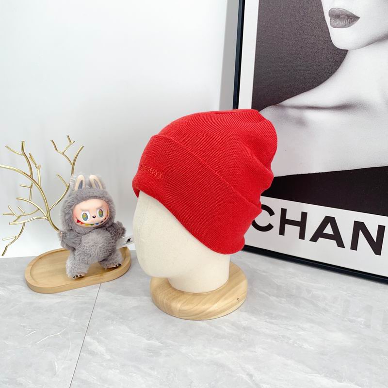 Arcteryx hat dx (2941)