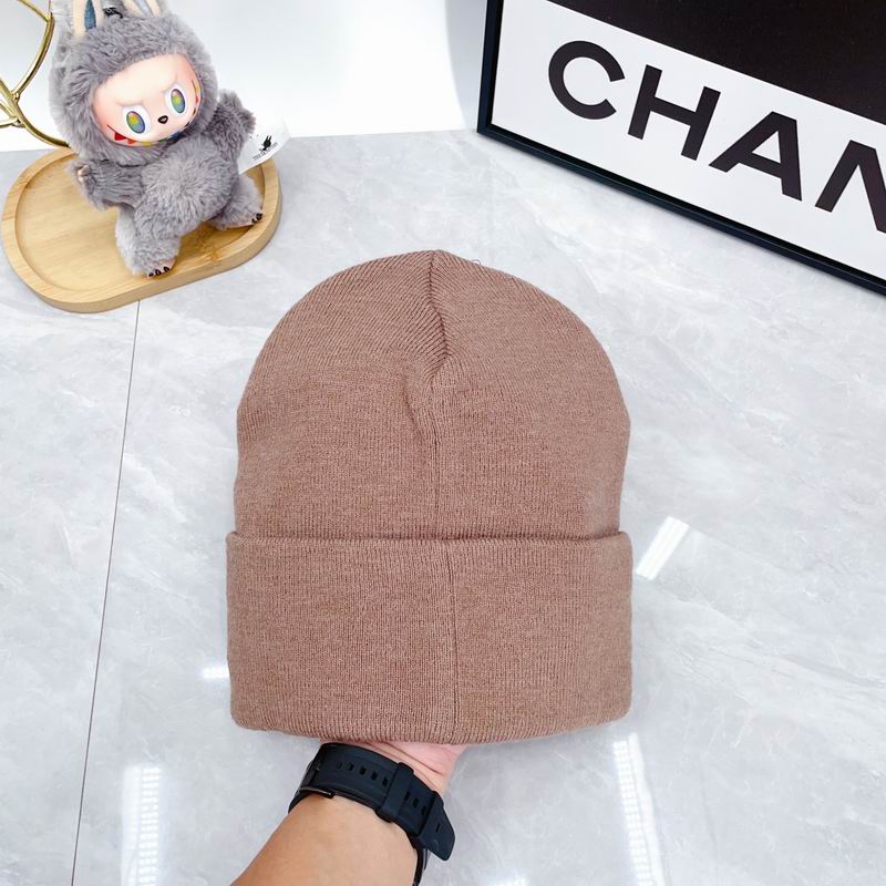 Arcteryx hat dx (2945)