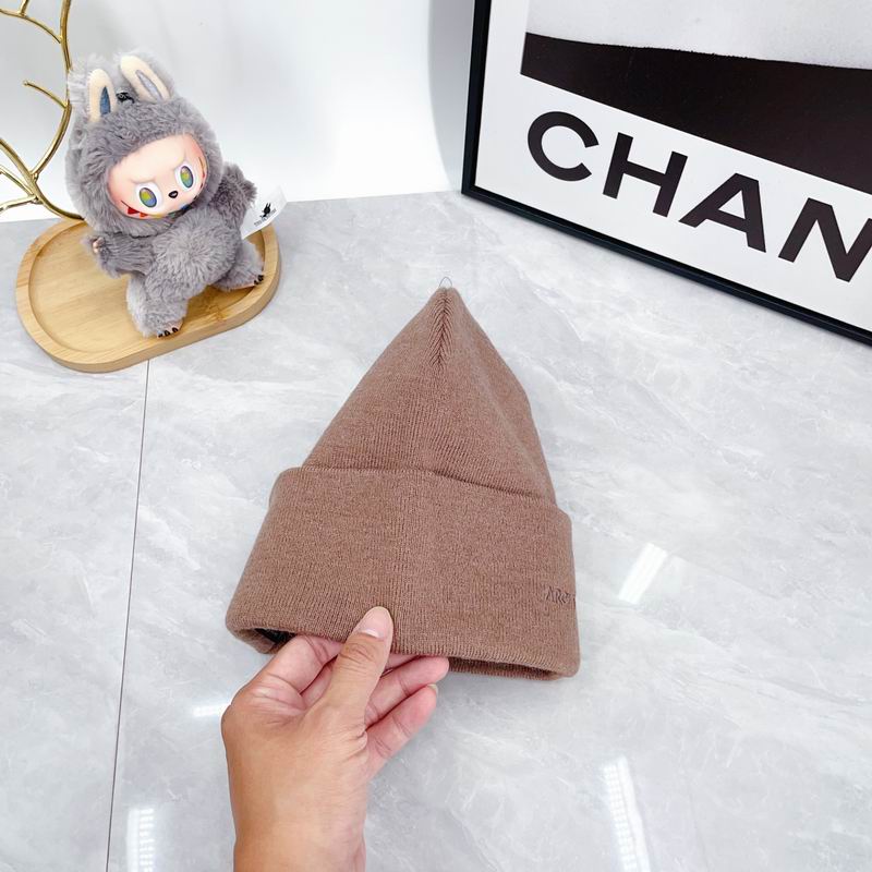 Arcteryx hat dx (2946)