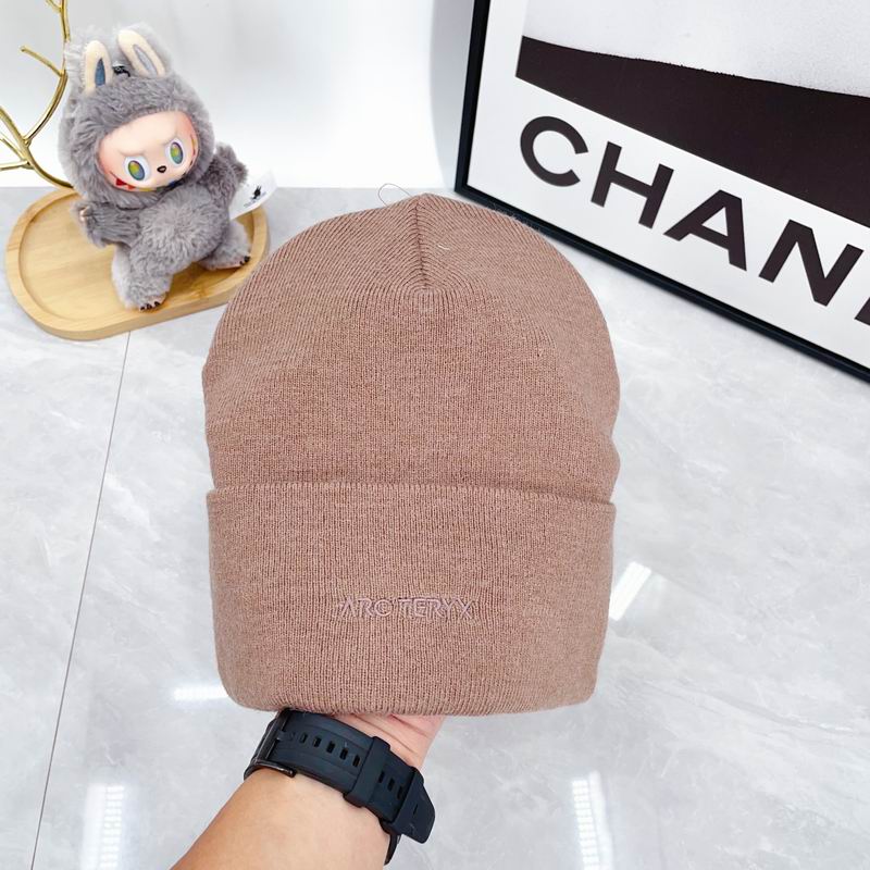 Arcteryx hat dx (2947)