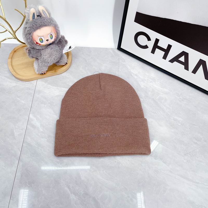 Arcteryx hat dx (2948)