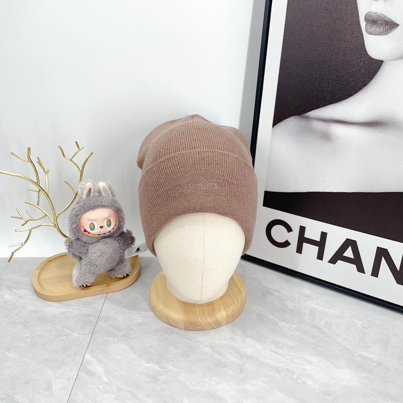 Arcteryx hat dx (2951)