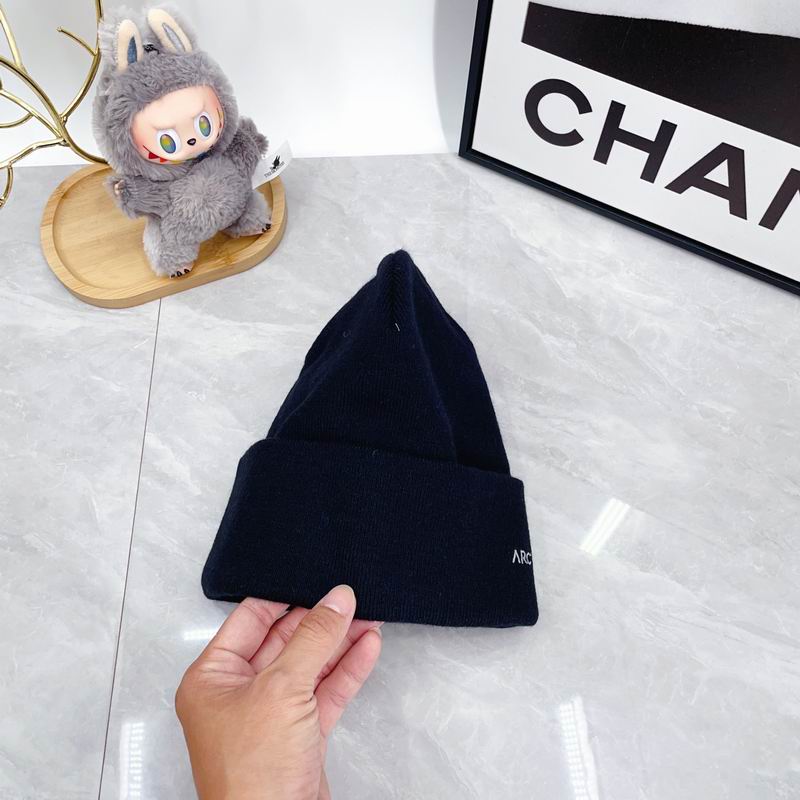 Arcteryx hat dx (2955)