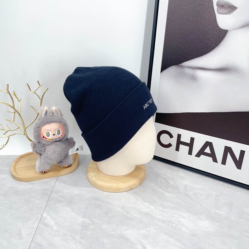 Arcteryx hat dx (2958)