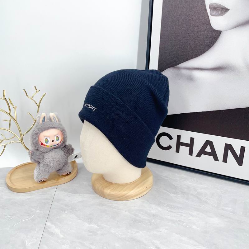 Arcteryx hat dx (2959)