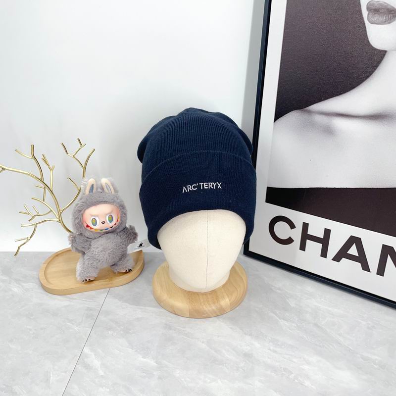 Arcteryx hat dx (2960)