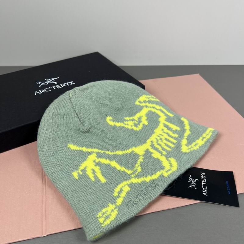 Arcteryx hat dx (31)