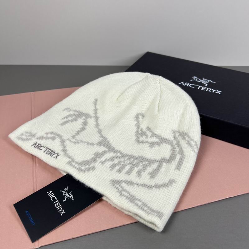 Arcteryx hat dx (33)