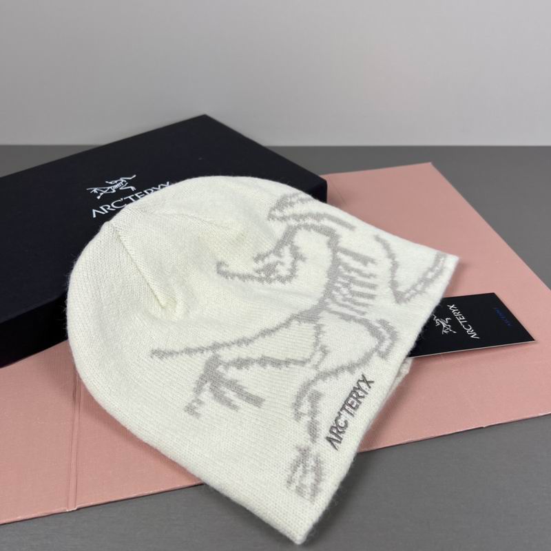 Arcteryx hat dx (34)