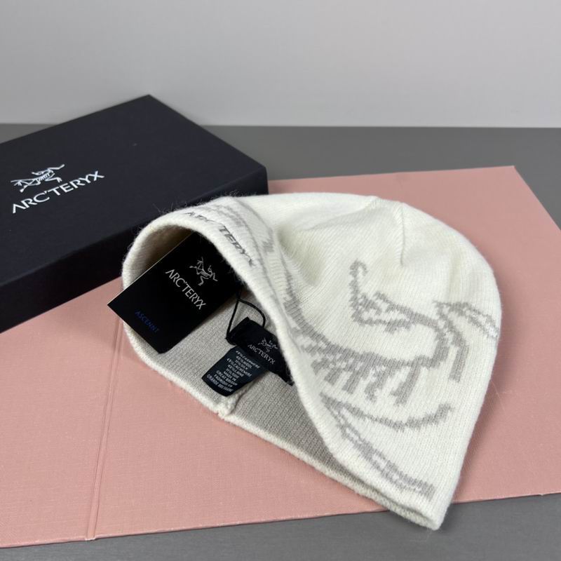 Arcteryx hat dx (35)