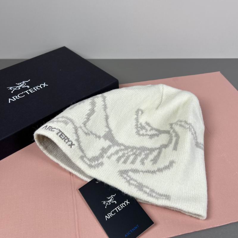 Arcteryx hat dx (36)