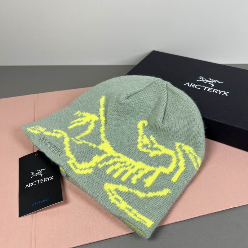 Arcteryx hat dx (37)