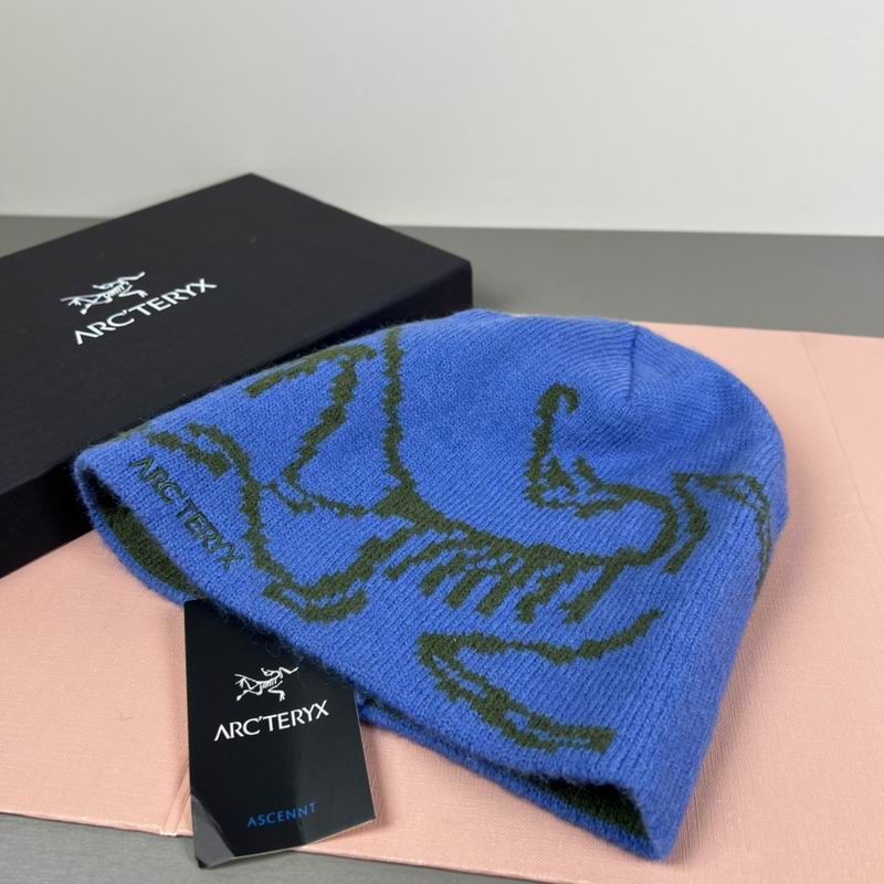 Arcteryx hat dx (40)