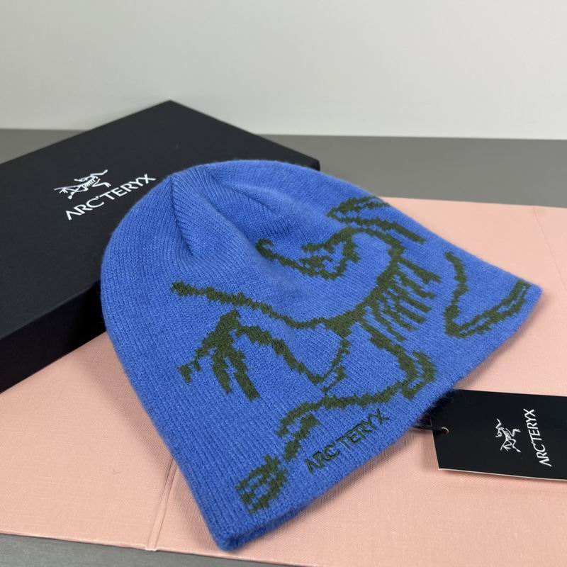 Arcteryx hat dx (41)