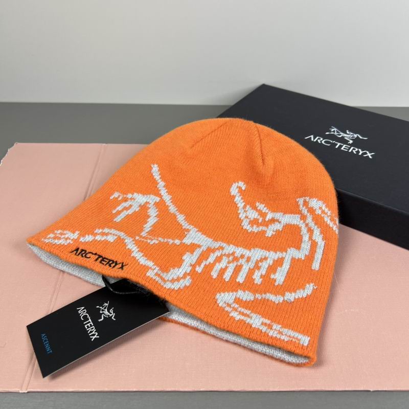 Arcteryx hat dx (42)