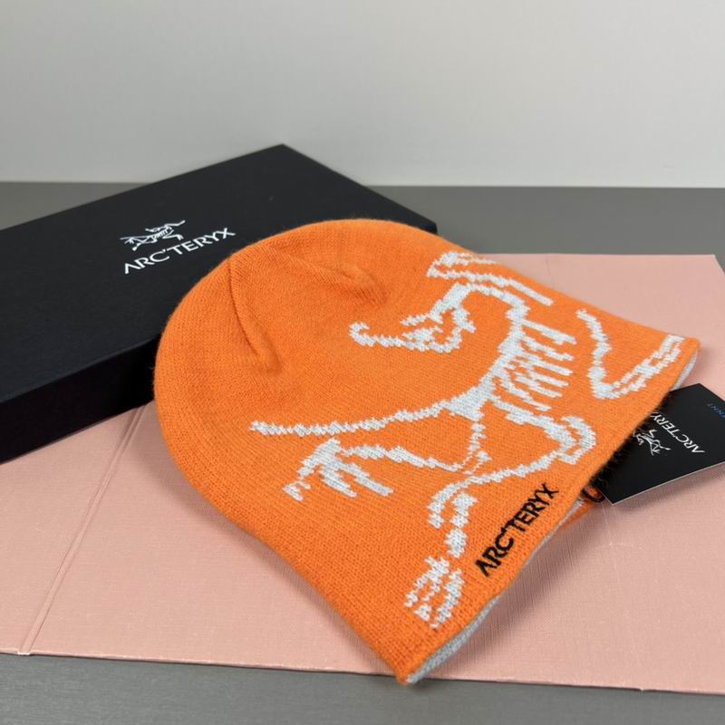 Arcteryx hat dx (43)