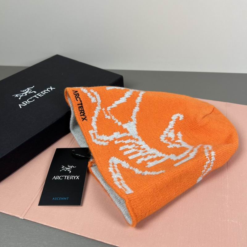 Arcteryx hat dx (44)