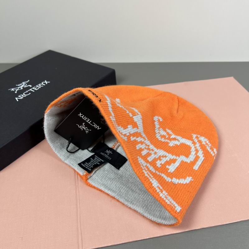 Arcteryx hat dx (45)