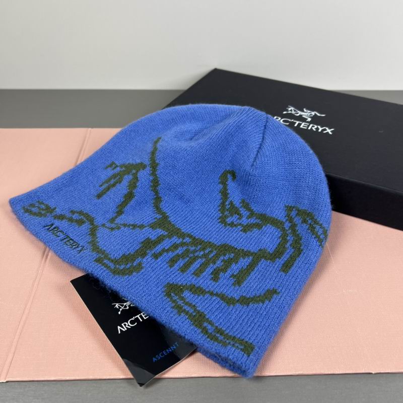 Arcteryx hat dx (46)