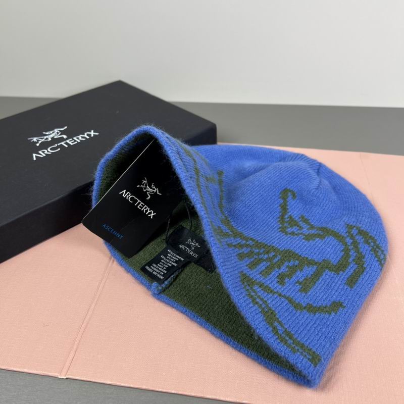 Arcteryx hat dx (47)