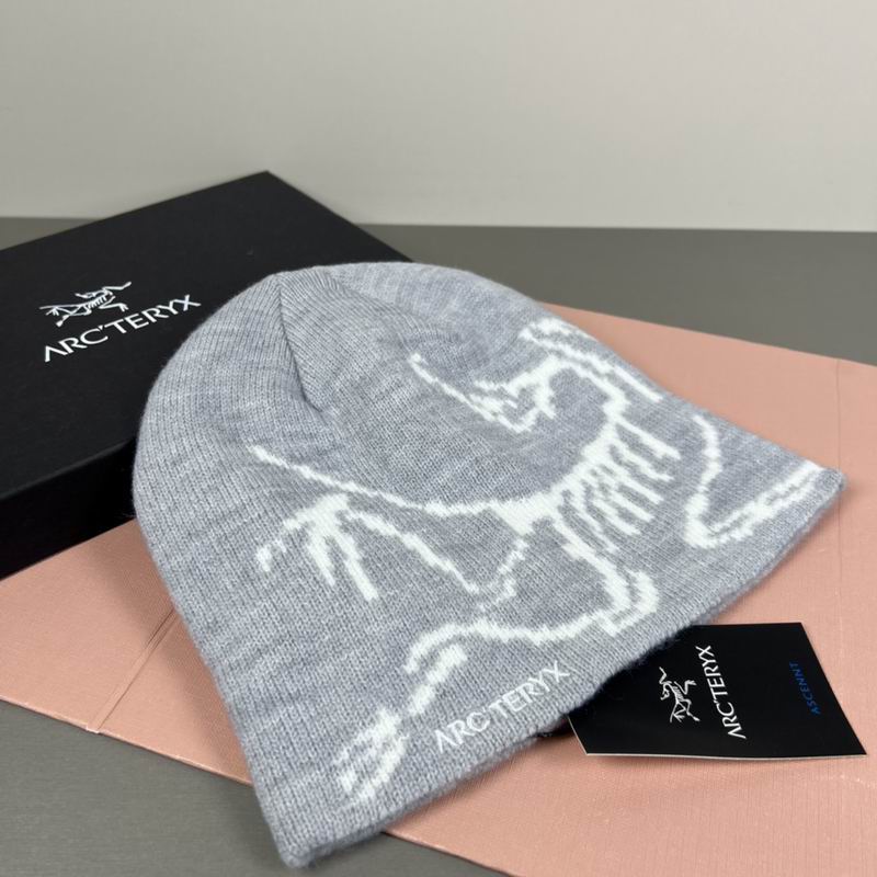 Arcteryx hat dx (49)