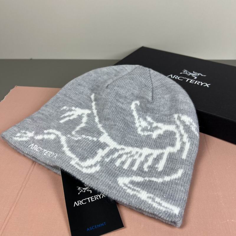 Arcteryx hat dx (50)