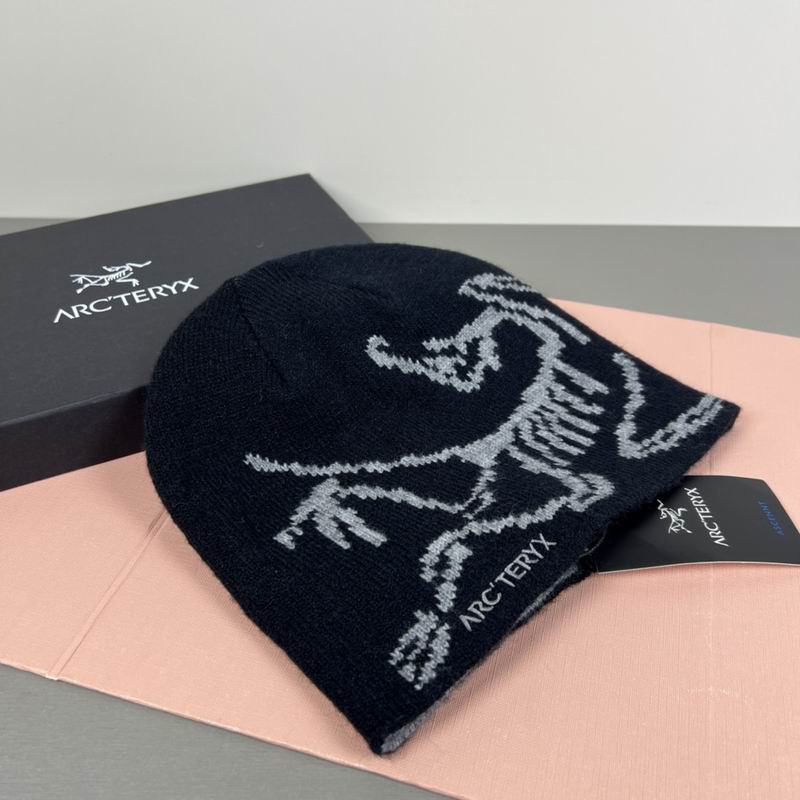 Arcteryx hat dx (51)