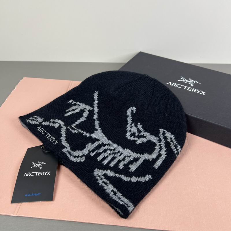 Arcteryx hat dx (52)