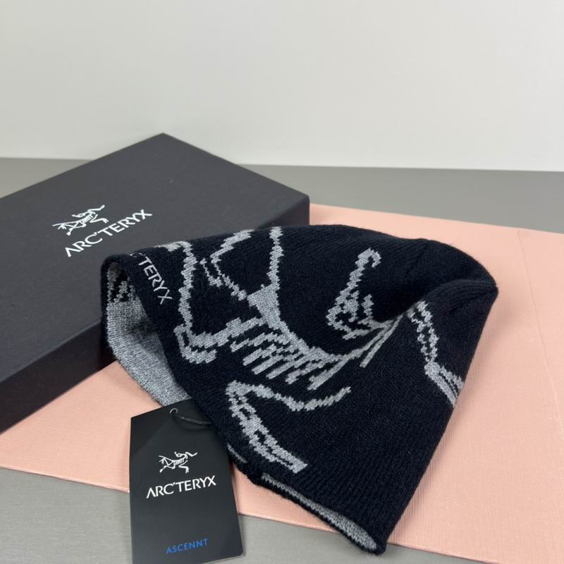 Arcteryx hat dx (53)