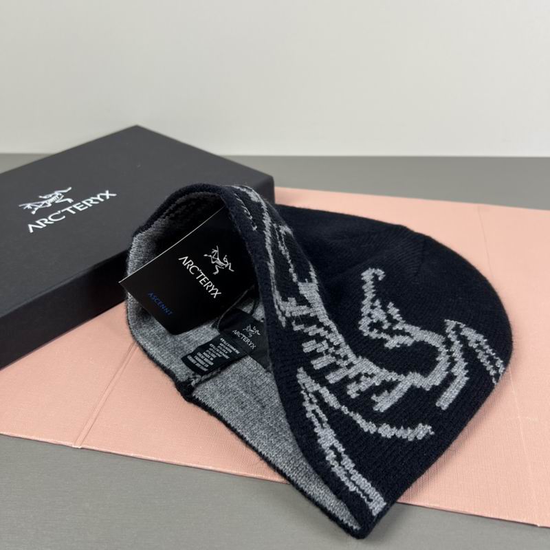 Arcteryx hat dx (54)