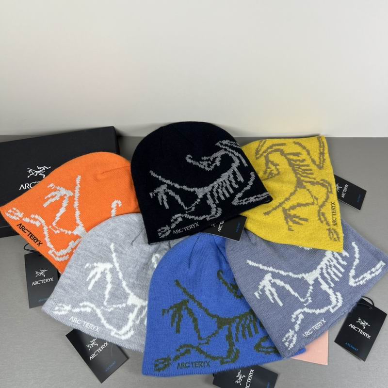 Arcteryx hat dx (55)