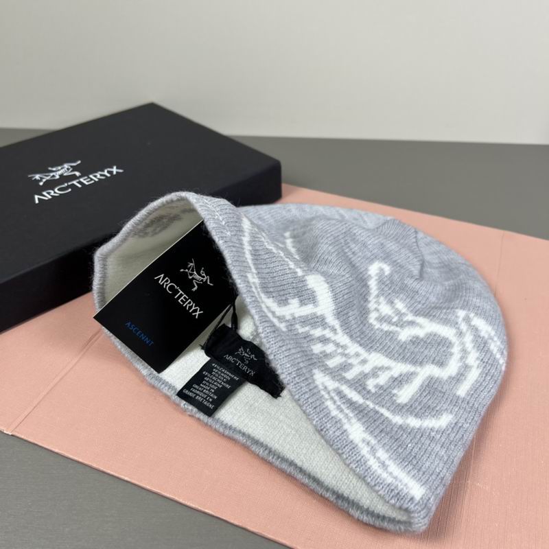 Arcteryx hat dx (56)