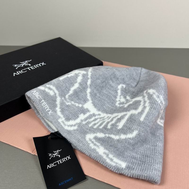 Arcteryx hat dx (57)