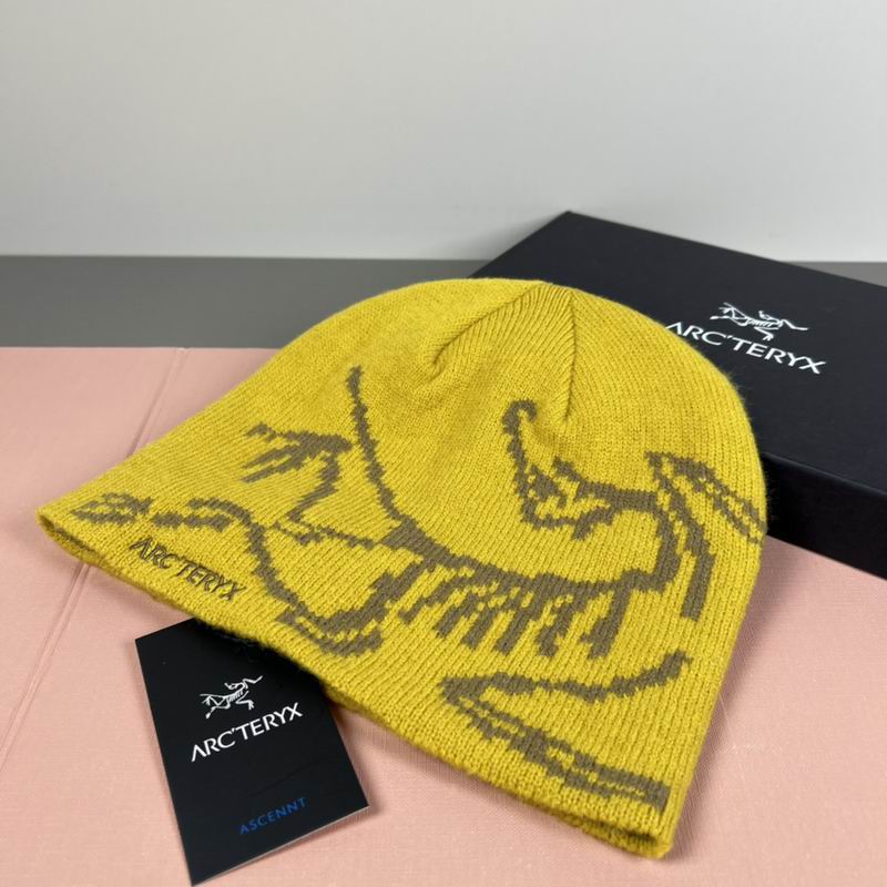 Arcteryx hat dx (58)