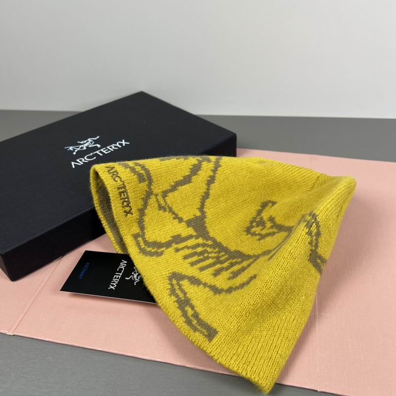 Arcteryx hat dx (59)