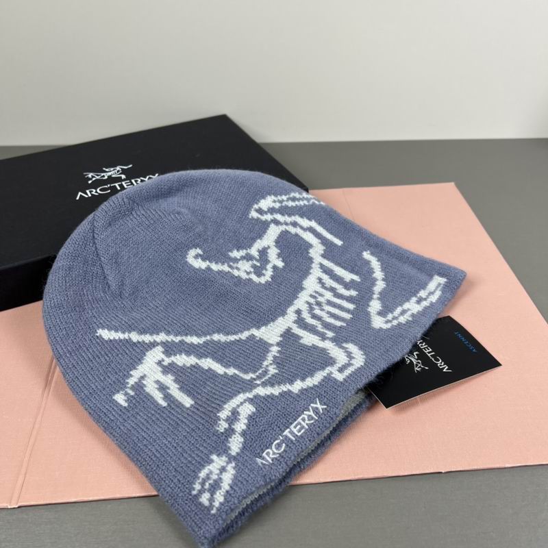 Arcteryx hat dx (60)