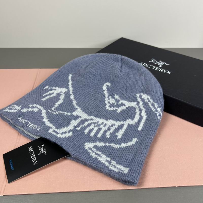 Arcteryx hat dx (61)