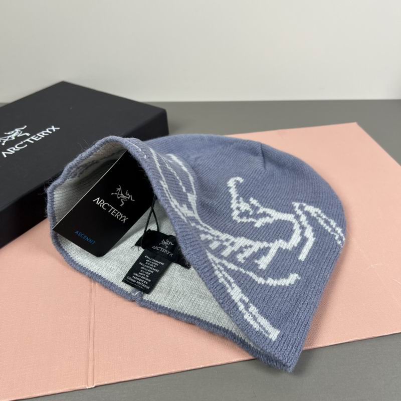 Arcteryx hat dx (62)