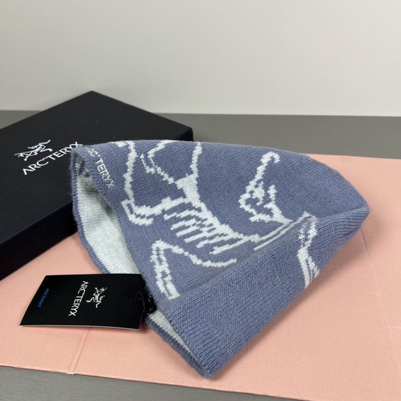 Arcteryx hat dx (63)