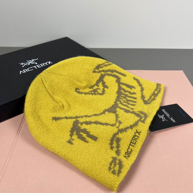 Arcteryx hat dx (64)