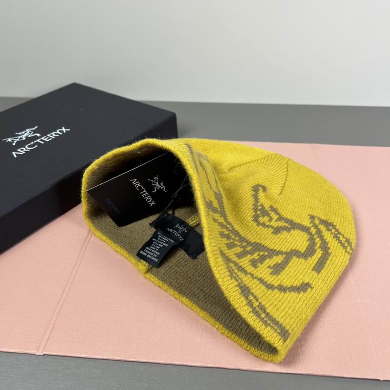 Arcteryx hat dx (65)