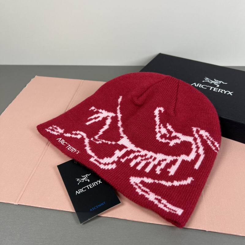 Arcteryx hat dx (67)