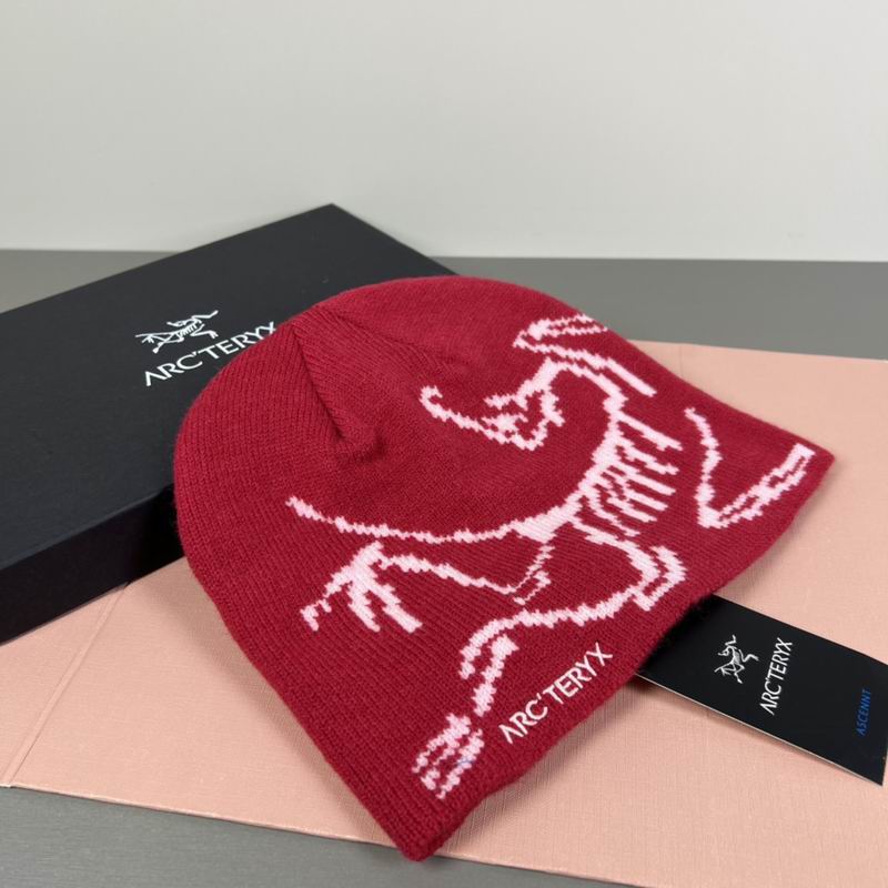 Arcteryx hat dx (68)