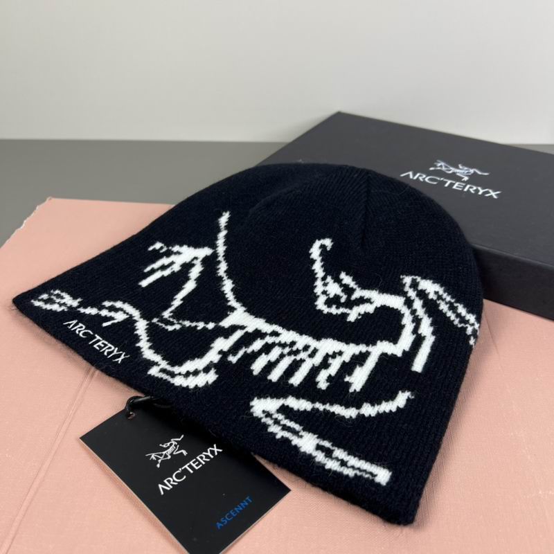Arcteryx hat dx (69)