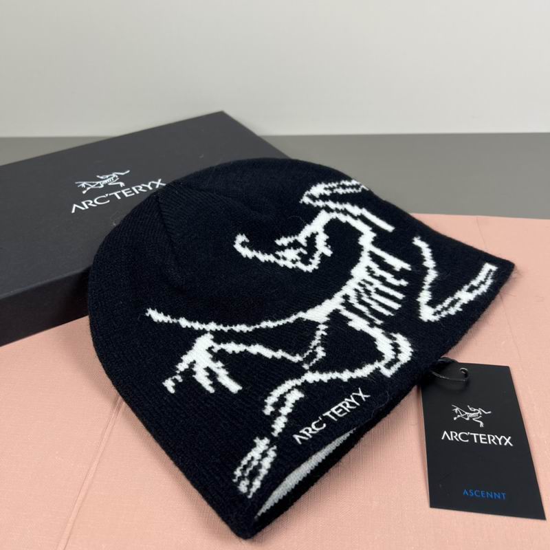 Arcteryx hat dx (70)