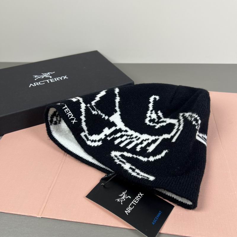 Arcteryx hat dx (71)